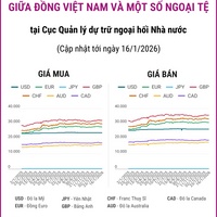 (Interactive) Tỷ giá tham khảo giữa Đồng Việt Nam và một số ngoại tệ ngày 16/1/2026
