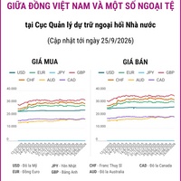 (Interactive) Tỷ giá tham khảo giữa Đồng Việt Nam và một số ngoại tệ ngày...