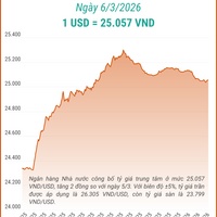 (Interactive) Tỷ giá trung tâm ngày 6/3/2026: 1 USD = 25.057 VND