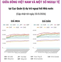 (Interactive) Tỷ giá tham khảo giữa Đồng Việt Nam và một số ngoại tệ ngày 25/5/2026