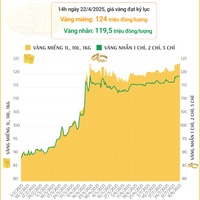 (Interactive) Sáng ngày 8/8/2025: Vàng nhẫn giữ nguyên giá, ở 119,3 triệu đồng/lượng