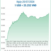 (Interactive) Tỷ giá trung tâm ngày 20/7/2026: 1 USD = 25.252 VND