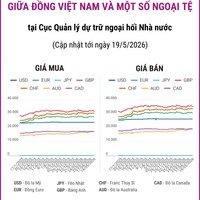 (Interactive) Tỷ giá tham khảo giữa Đồng Việt Nam và một số ngoại tệ ngày 19/5/2026