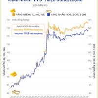 (Interactive) Sáng ngày 12/8/2025: Giá vàng miếng ở mức 123,9 triệu đồng/lượng
