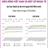 (Interactive) Tỷ giá tham khảo giữa Đồng Việt Nam và một số ngoại tệ ngày...