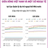 (Interactive) Tỷ giá tham khảo giữa Đồng Việt Nam và một số ngoại tệ ngày 24/11/2025