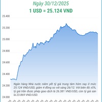 (Interactive) Tỷ giá trung tâm ngày 30/12/2025: 1 USD = 25.124 VND