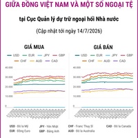 (Interactive) Tỷ giá tham khảo giữa Đồng Việt Nam và một số ngoại tệ ngày...