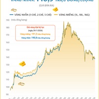 (Interactive) Giá vàng miếng sáng 5/8/2026