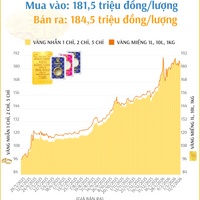 (Interactive) Giá vàng nhẫn sáng 13/3/2026