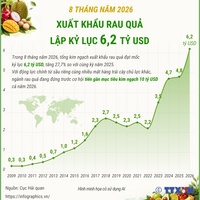 (Interactive) 8 tháng năm 2026, xuất khẩu rau quả lập kỷ lục 6,2 tỷ USD