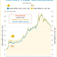(Interactive) Giá vàng miếng sáng 9/6/2026