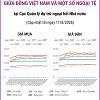 (Interactive) Tỷ giá tham khảo giữa Đồng Việt Nam và một số ngoại tệ ngày...