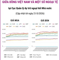 (Interactive) Tỷ giá tham khảo giữa Đồng Việt Nam và một số ngoại tệ ngày 21/5/2026