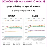 (Interactive) Tỷ giá tham khảo giữa Đồng Việt Nam và một số ngoại tệ ngày...