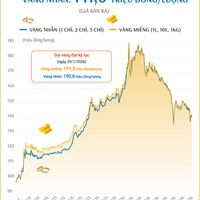 (Interactive) Giá vàng miếng sáng 28/7/2026