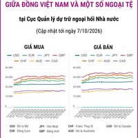 (Interactive) Tỷ giá tham khảo giữa Đồng Việt Nam và một số ngoại tệ ngày 7/10/2026