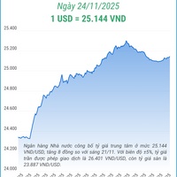 (Interactive) Tỷ giá trung tâm ngày 24/11/2025: 1 USD = 25.144 VND