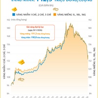 (Interactive) Giá vàng miếng sáng 12/6/2026