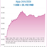 (Interactive) Tỷ giá trung tâm ngày 24/6/2026: 1 USD = 25.192 VND