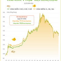 (Interactive) Giá vàng miếng sáng 23/7/2026