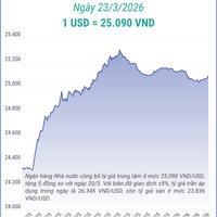 (Interactive) Tỷ giá trung tâm ngày 23/3/2026: 1 USD = 25.090 VND
