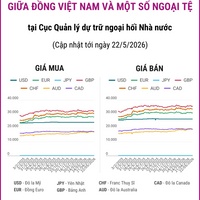 (Interactive) Tỷ giá tham khảo giữa Đồng Việt Nam và một số ngoại tệ ngày 22/5/2026
