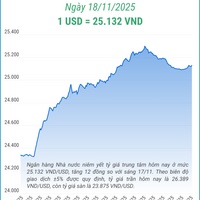 (Interactive) Tỷ giá trung tâm ngày 18/11/2025: 1 USD = 25.132 VND