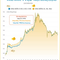 (Interactive) Giá vàng miếng sáng 29/9/2026