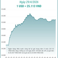 (Interactive) Tỷ giá trung tâm ngày 29/4/2026: 1 USD = 25.113 VND
