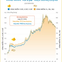 Giá vàng miếng sáng 29/5/2026