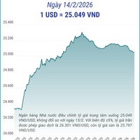 (Interactive) Tỷ giá trung tâm ngày 14/2/2026: 1 USD =  25.049 VND