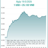 (Interactive) Tỷ giá trung tâm ngày 19/5/2026: 1 USD = 25.133 VND