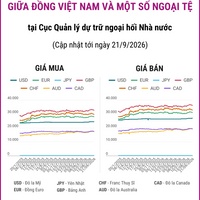 (Interactive) Tỷ giá tham khảo giữa Đồng Việt Nam và một số ngoại tệ ngày 21/9/2026
