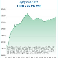 (Interactive) Tỷ giá trung tâm ngày 25/6/2026: 1 USD = 25.197 VND