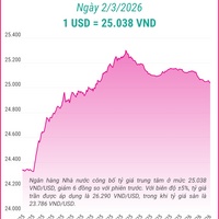 (Interactive) Tỷ giá trung tâm ngày 2/3/2026: 1 USD = 25.038 VND