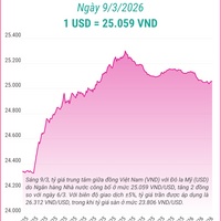 (Interactive) Tỷ giá trung tâm ngày 9/3/2026: 1 USD = 25.059 VND