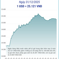 (Interactive) Tỷ giá trung tâm ngày 31/12/2025: 1 USD = 25.121 VND