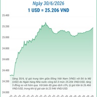(Interactive) Tỷ giá trung tâm ngày 30/6/2026: 1 USD = 25.206 VND