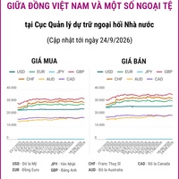 (Interactive) Tỷ giá tham khảo giữa Đồng Việt Nam và một số ngoại tệ ngày...