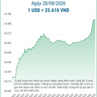 (Interactive) Tỷ giá trung tâm ngày 28/8/2026: 1 USD = 25.610 VND
