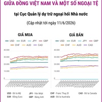 (Interactive) Tỷ giá tham khảo giữa Đồng Việt Nam và một số ngoại tệ ngày 11/6/2026