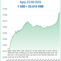 (Interactive) Tỷ giá trung tâm ngày 25/8/2026: 1 USD = 25.615 VND