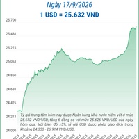 (Interactive) Tỷ giá trung tâm ngày 17/9/2026: 1 USD = 25.632 VND