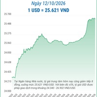 (Interactive) Tỷ giá trung tâm ngày 12/10/2026: 1 USD = 25.621 VND