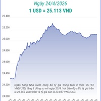 (Interactive) Tỷ giá trung tâm ngày 24/4/2026: 1 USD = 25.113 VND