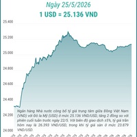 (Interactive) Tỷ giá trung tâm ngày 25/5/2026: 1 USD = 25.136 VND