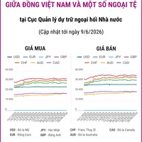 (Interactive) Tỷ giá tham khảo giữa Đồng Việt Nam và một số ngoại tệ ngày 9/6/2026