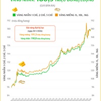 (Interactive) Giá vàng miếng sáng 14/2/2026