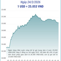 (Interactive) Tỷ giá trung tâm ngày 24/2/2026: 1 USD = 25.053 VND